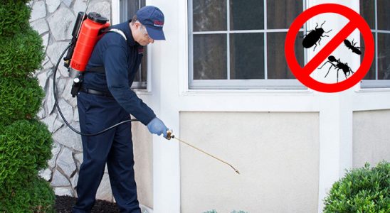 Aybastı Dezenfeksiyon böcek ilaçlama ve haşere kontrolü — ilaclama-tr.com